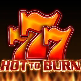 Enjoy Hot To Burn by Pragmatic Play – logo hosted on lizaroscasino.com
