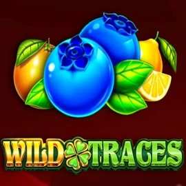 Play Wild Traces slot by Amusnet Interactive on lizaroscasino.com